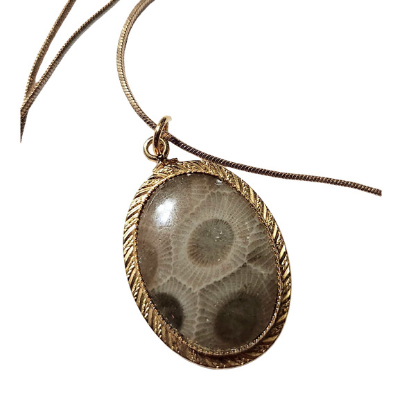 Estate Jewelry - Vtg Petoskey Stone Gold Plated Pendant Necklace